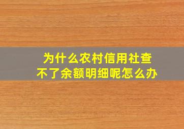 为什么农村信用社查不了余额明细呢怎么办