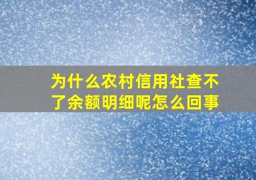 为什么农村信用社查不了余额明细呢怎么回事