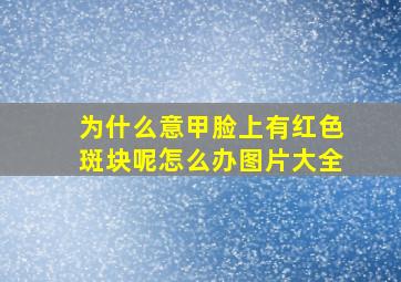 为什么意甲脸上有红色斑块呢怎么办图片大全