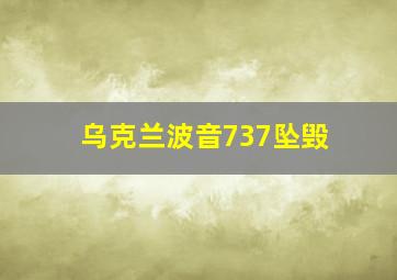 乌克兰波音737坠毁