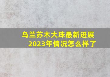 乌兰苏木大珠最新进展2023年情况怎么样了