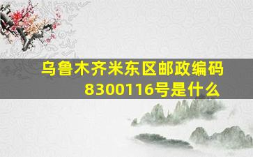 乌鲁木齐米东区邮政编码8300116号是什么