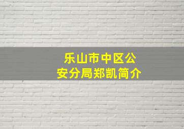 乐山市中区公安分局郑凯简介