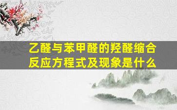 乙醛与苯甲醛的羟醛缩合反应方程式及现象是什么