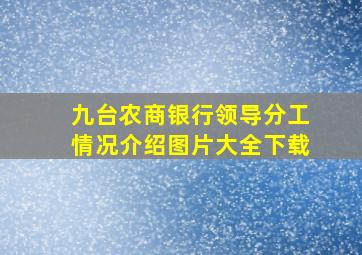 九台农商银行领导分工情况介绍图片大全下载