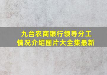 九台农商银行领导分工情况介绍图片大全集最新