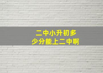 二中小升初多少分能上二中啊