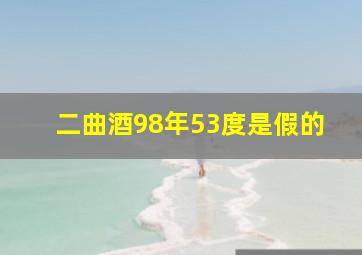 二曲酒98年53度是假的