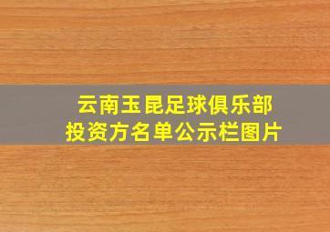 云南玉昆足球俱乐部投资方名单公示栏图片