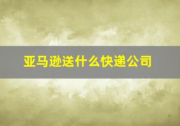 亚马逊送什么快递公司