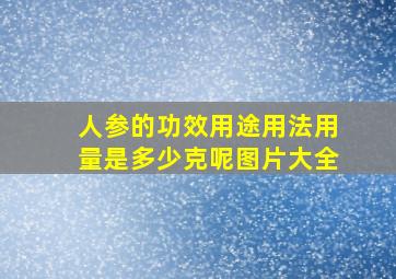 人参的功效用途用法用量是多少克呢图片大全