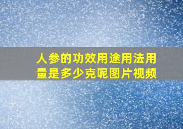 人参的功效用途用法用量是多少克呢图片视频