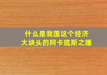 什么是我国这个经济大块头的阿卡琉斯之踵