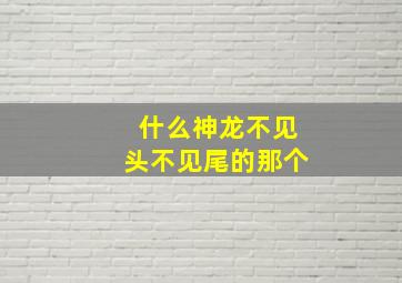 什么神龙不见头不见尾的那个