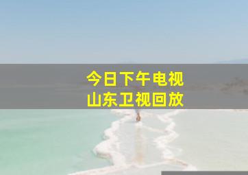 今日下午电视山东卫视回放