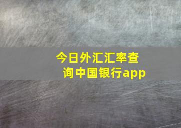 今日外汇汇率查询中国银行app