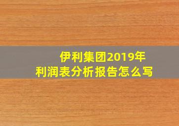 伊利集团2019年利润表分析报告怎么写