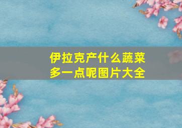 伊拉克产什么蔬菜多一点呢图片大全