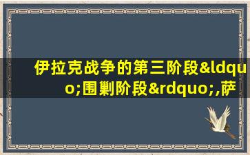 伊拉克战争的第三阶段“围剿阶段”,萨达姆被抓获。a对