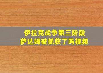 伊拉克战争第三阶段萨达姆被抓获了吗视频