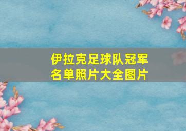 伊拉克足球队冠军名单照片大全图片