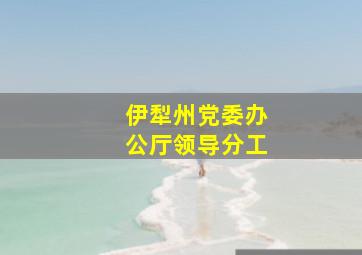 伊犁州党委办公厅领导分工