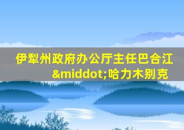 伊犁州政府办公厅主任巴合江·哈力木别克