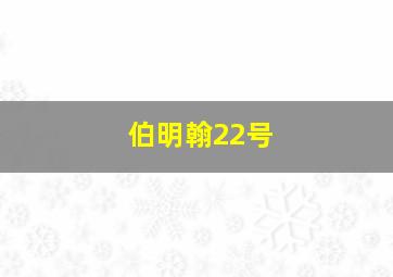 伯明翰22号