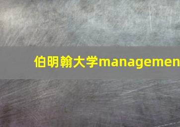 伯明翰大学management