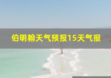 伯明翰天气预报15天气报