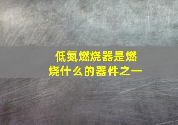 低氮燃烧器是燃烧什么的器件之一