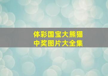 体彩国宝大熊猫中奖图片大全集