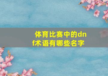 体育比赛中的dnf术语有哪些名字