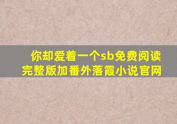 你却爱着一个sb免费阅读完整版加番外落霞小说官网