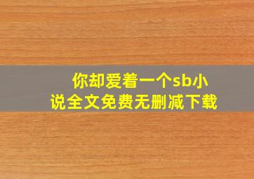 你却爱着一个sb小说全文免费无删减下载