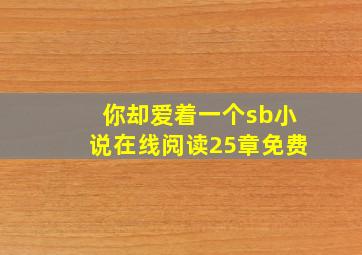 你却爱着一个sb小说在线阅读25章免费