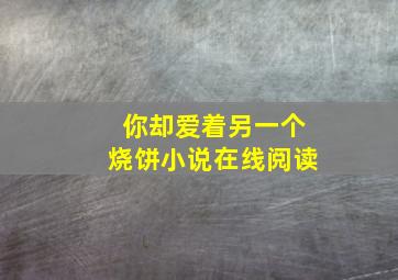 你却爱着另一个烧饼小说在线阅读