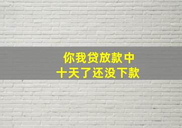 你我贷放款中十天了还没下款