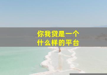 你我贷是一个什么样的平台