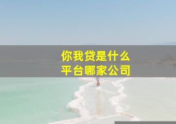 你我贷是什么平台哪家公司