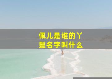 佩儿是谁的丫鬟名字叫什么