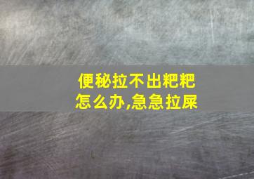 便秘拉不出粑粑怎么办,急急拉屎