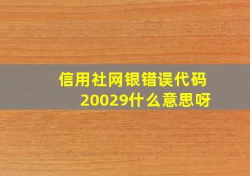 信用社网银错误代码20029什么意思呀