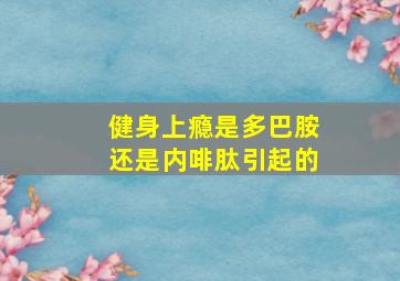 健身上瘾是多巴胺还是内啡肽引起的