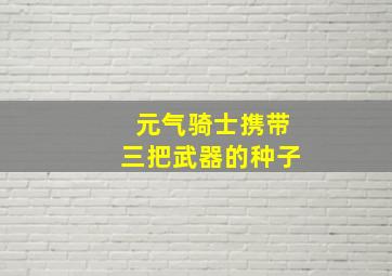 元气骑士携带三把武器的种子