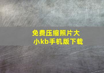 免费压缩照片大小kb手机版下载