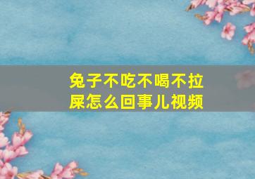 兔子不吃不喝不拉屎怎么回事儿视频