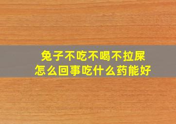 兔子不吃不喝不拉屎怎么回事吃什么药能好