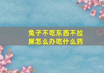 兔子不吃东西不拉屎怎么办吃什么药