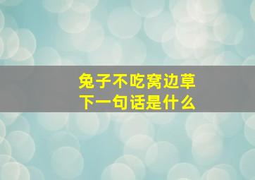 兔子不吃窝边草下一句话是什么